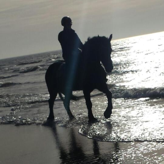 B&b Boerderij Rust, In Pipowagens!