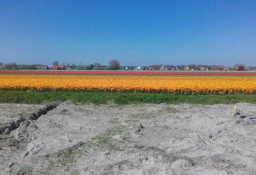 B&b Boerderij Rust, In Pipowagens!