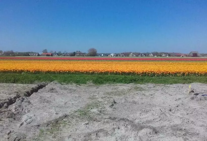 B&b Boerderij Rust, In Pipowagens!