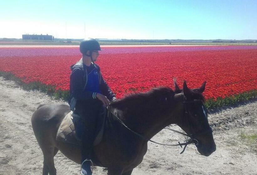 B&b Boerderij Rust, In Pipowagens!