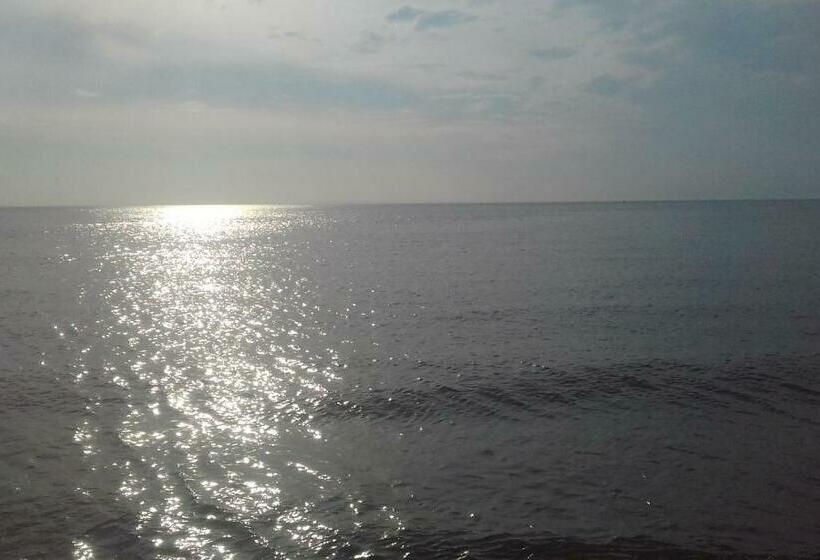 B&b Boerderij Rust, In Pipowagens!