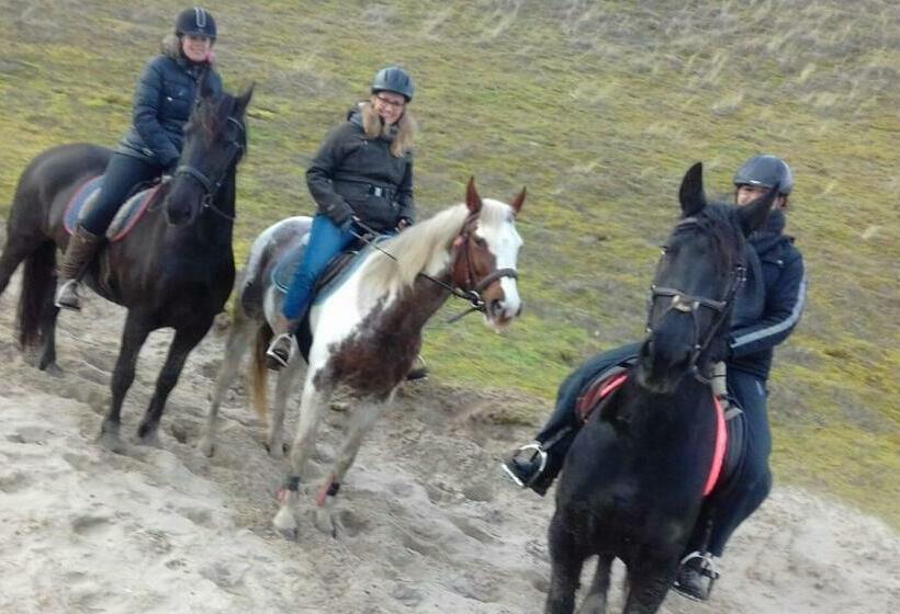 B&b Boerderij Rust, In Pipowagens!