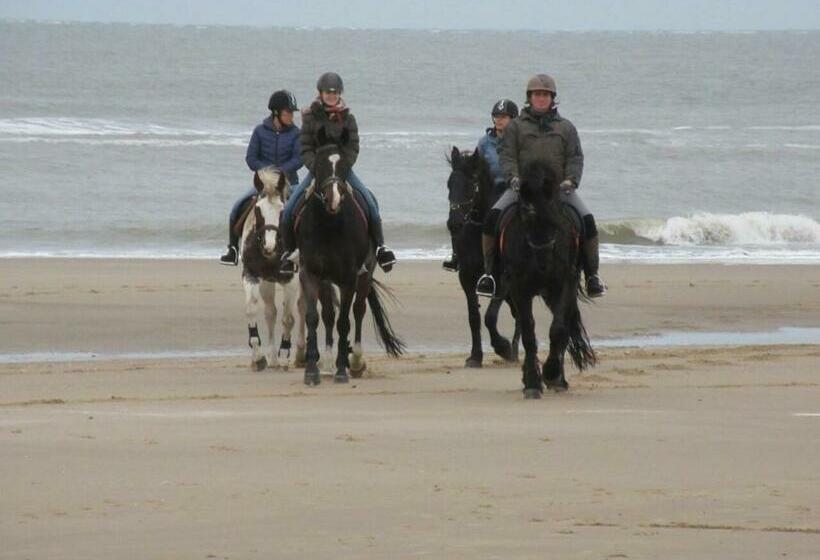 B&b Boerderij Rust, In Pipowagens!