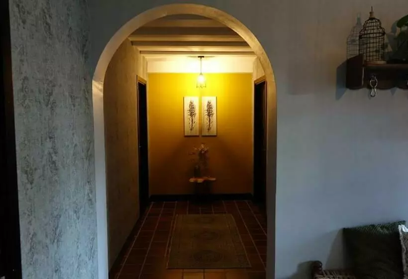 ベッドアンドブレックファースト Bed En Breakfast Het Oelenest