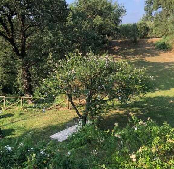 Bed and Breakfast L Antico Molino