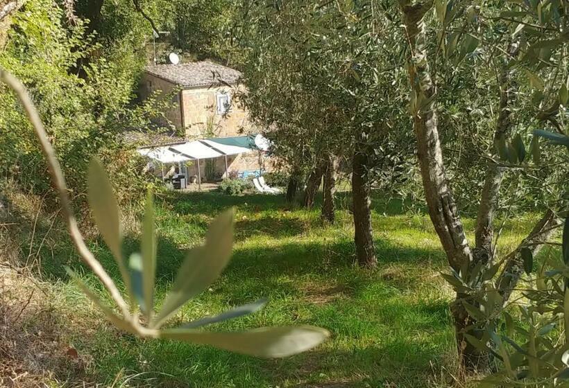 Bed and Breakfast L Antico Molino