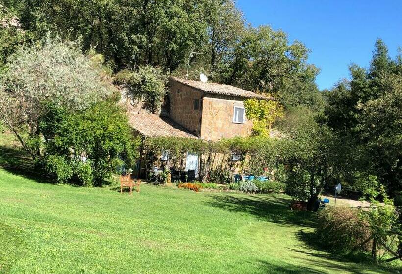 Bed and Breakfast L Antico Molino