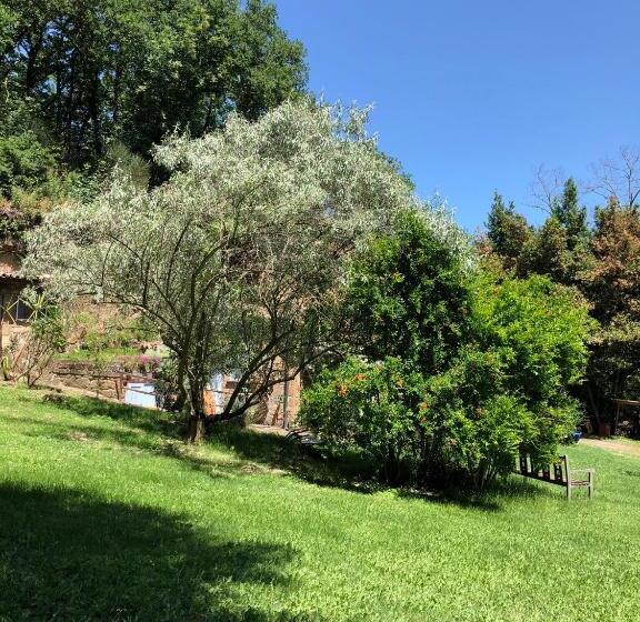 Bed and Breakfast L Antico Molino