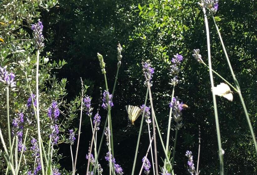 Bed and Breakfast L Antico Molino