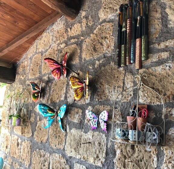 Bed and Breakfast L Antico Molino