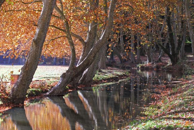 Bed and Breakfast Le Mas De Tiomka