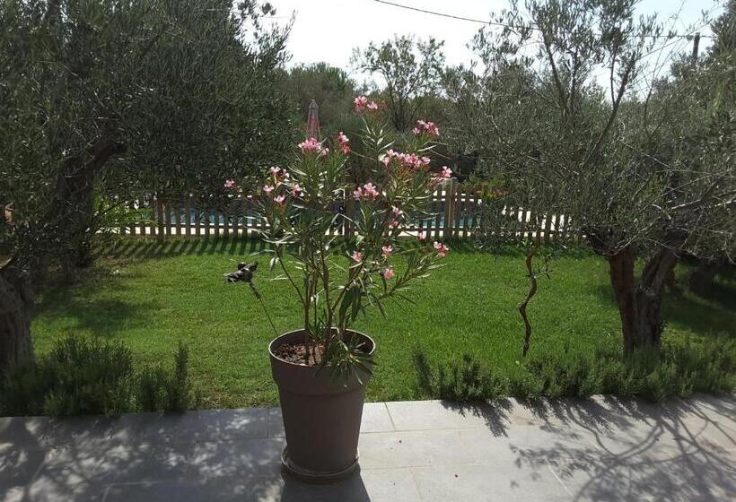 Bed and Breakfast Le Mas De Tiomka