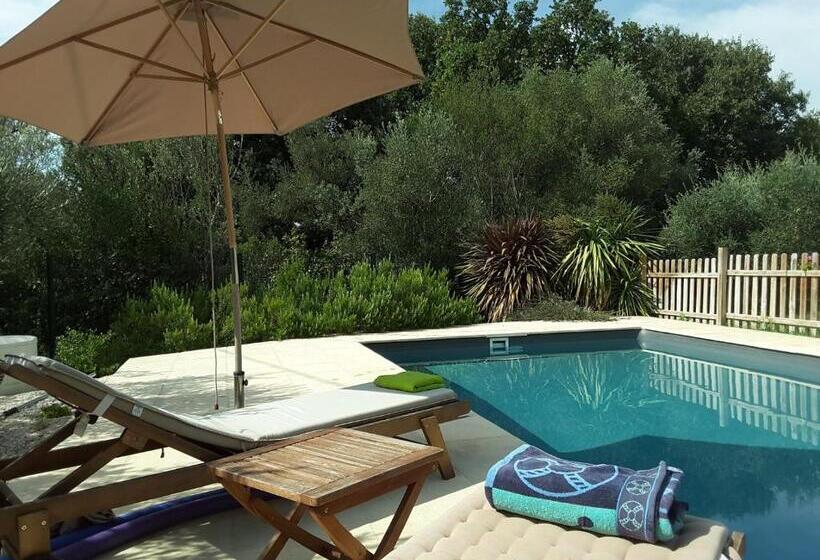 住宿加早餐  Le Mas De Tiomka