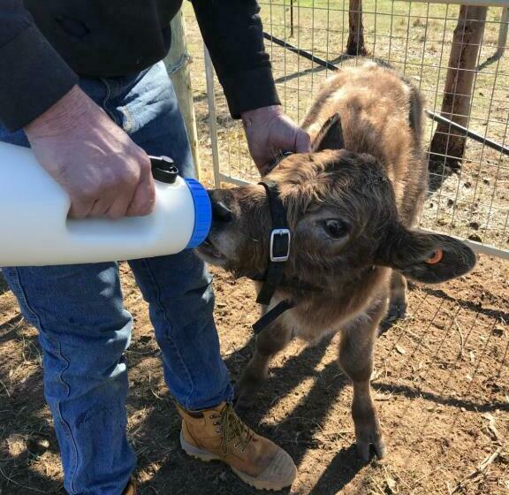 Bed and Breakfast Yeoy S Cabin