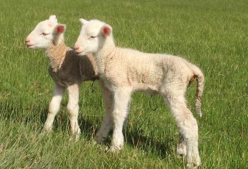 Bed and Breakfast Yeoy S Cabin