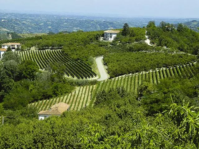 ホテル Agriturismo Cascina Anrì