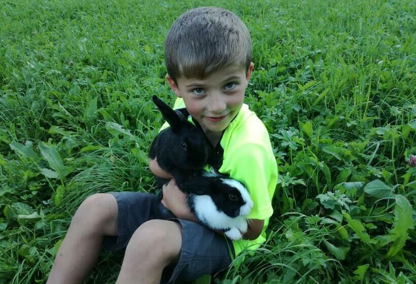 Отель Mooslechnerhof