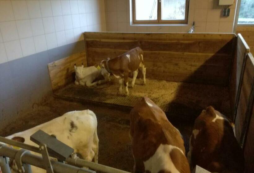 Отель Mooslechnerhof