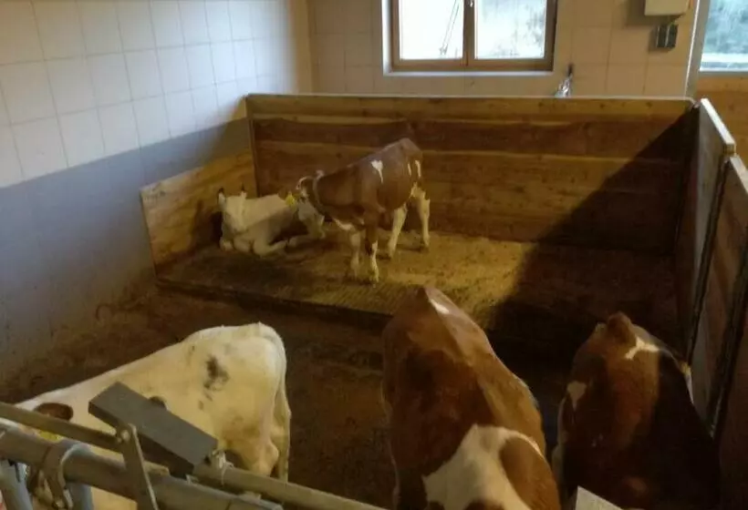 ホテル Mooslechnerhof