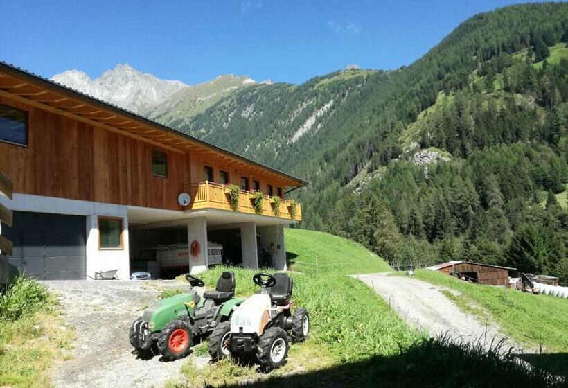 Отель Mooslechnerhof