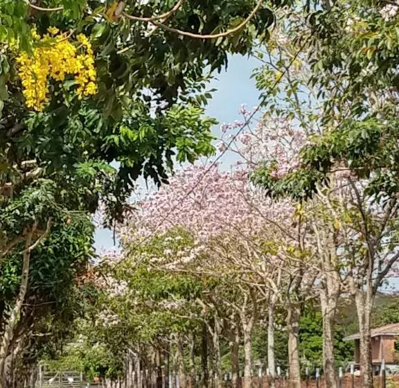 ペンション Chalé Quintal Amazon