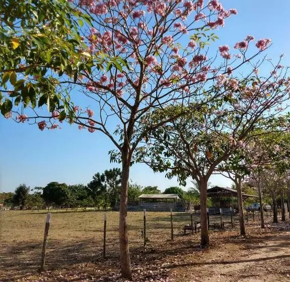 ペンション Chalé Quintal Amazon