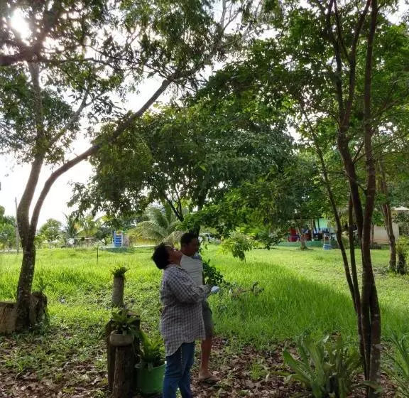 ペンション Chalé Quintal Amazon