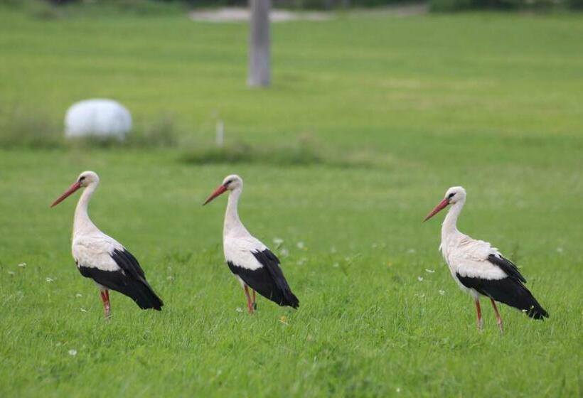 펜션 Haus Sonnenberg