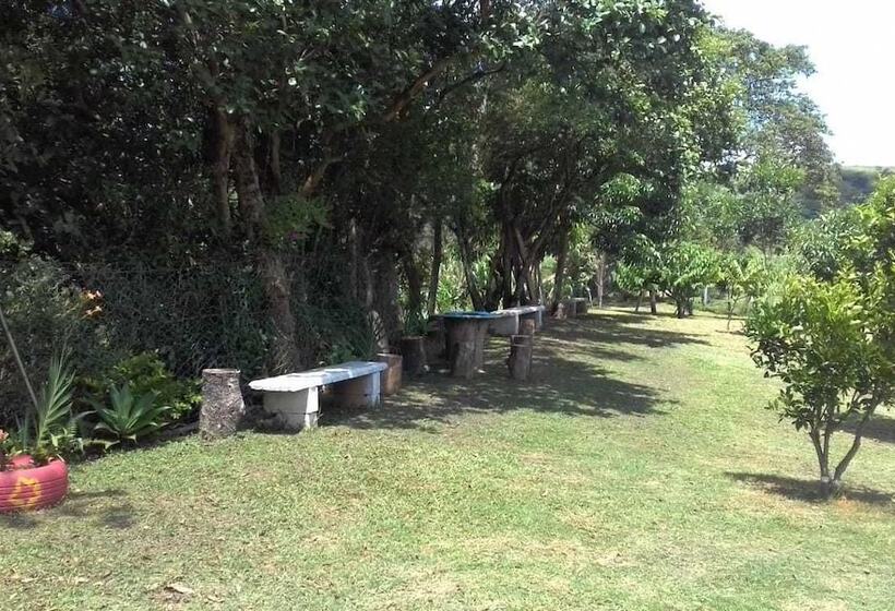 ペンション Pousada Dedo De Deus