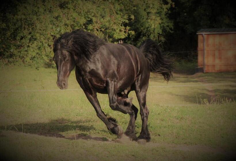 Aamiaismajoitus (B&B) Angoville44