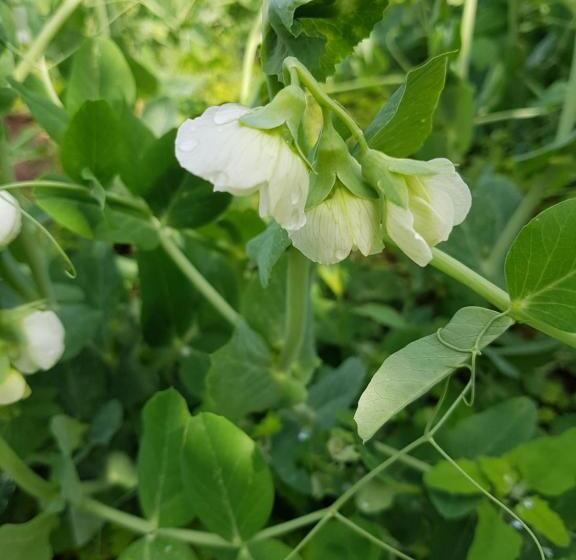 هتل Agriturismo San Francesco