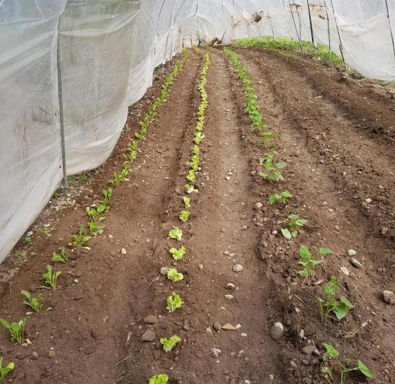 هتل Agriturismo San Francesco