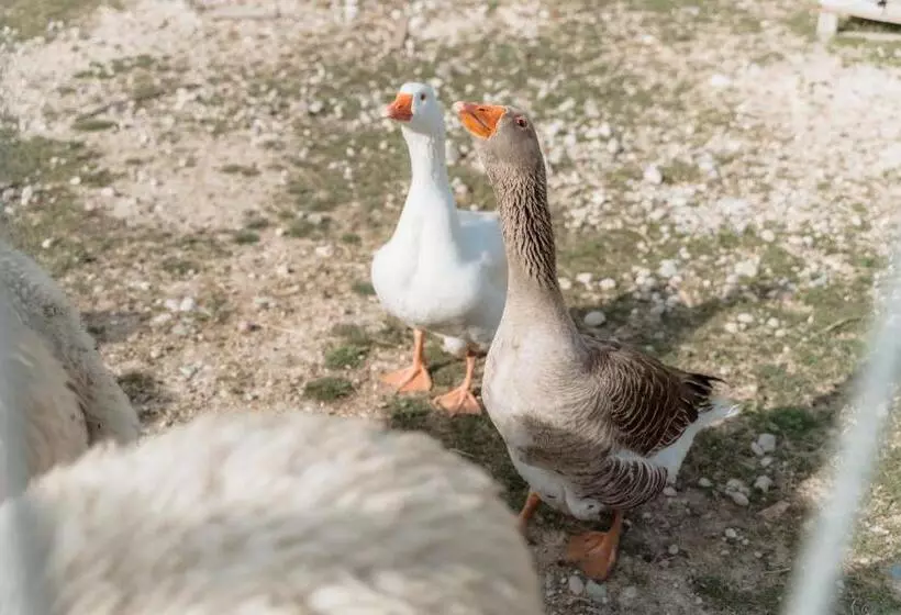 ホテル Agriturismo San Francesco