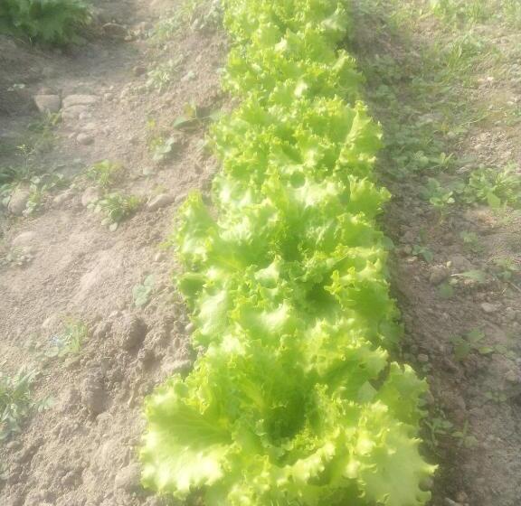 هتل Agriturismo San Francesco