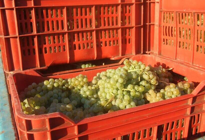 هتل Agriturismo San Francesco