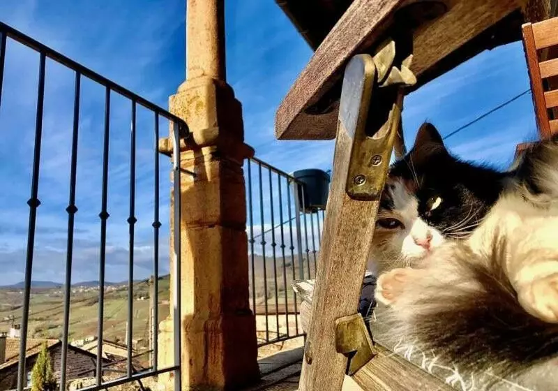 Majatalo Au Petit Bonheur Chez Bambina