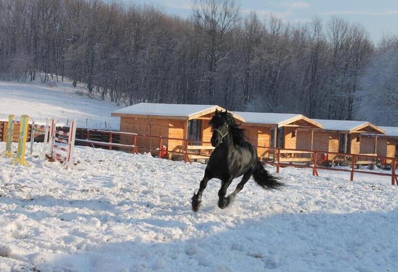 Resort Complex Hamak