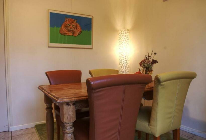 Bed and Breakfast Chambres D Hotes Le Matou Roux