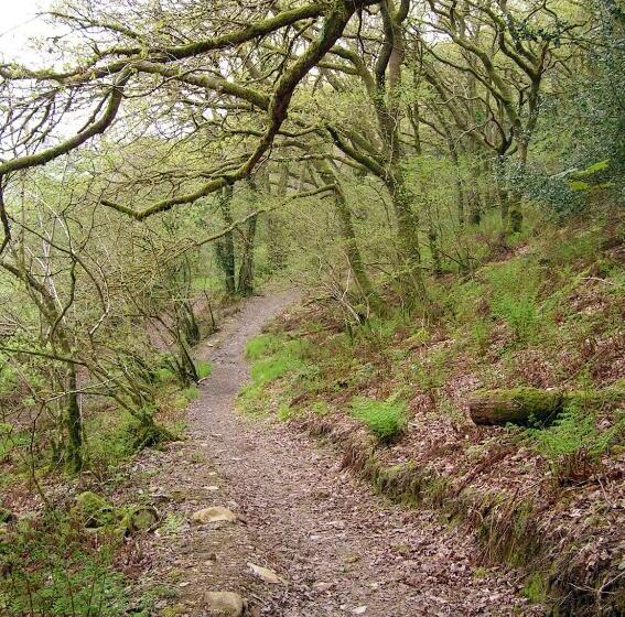 Aamiaismajoitus (B&B) Erw Lon Farm