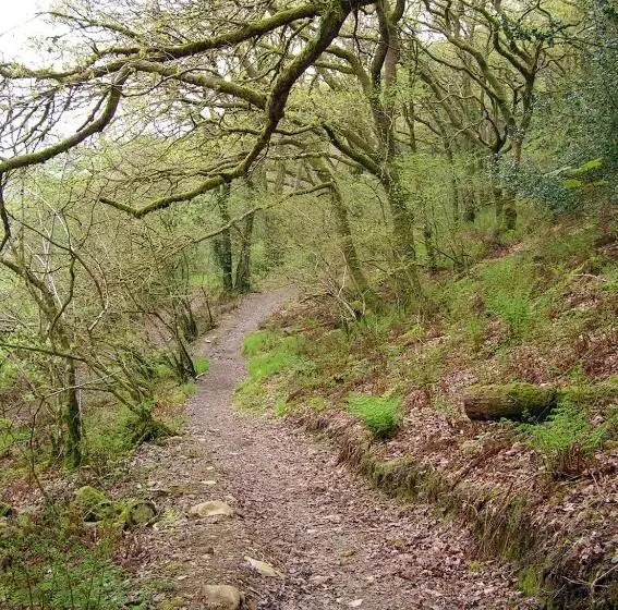 Aamiaismajoitus (B&B) Erw Lon Farm