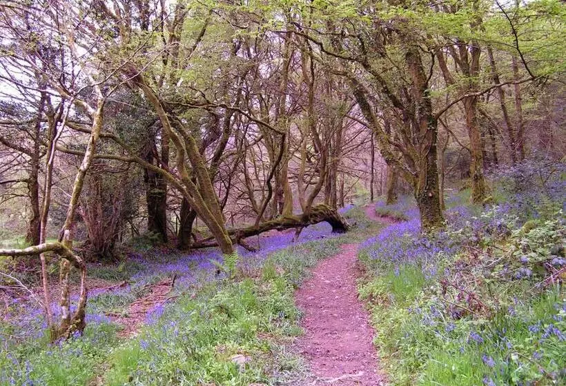 Aamiaismajoitus (B&B) Erw Lon Farm