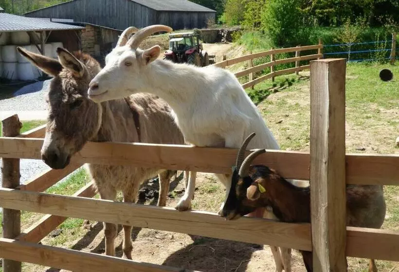 Aamiaismajoitus (B&B) Le Vallon Des 5 Roses