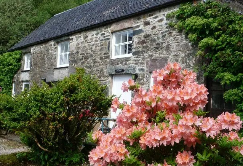 Aamiaismajoitus (B&B) The Steading At Barmore