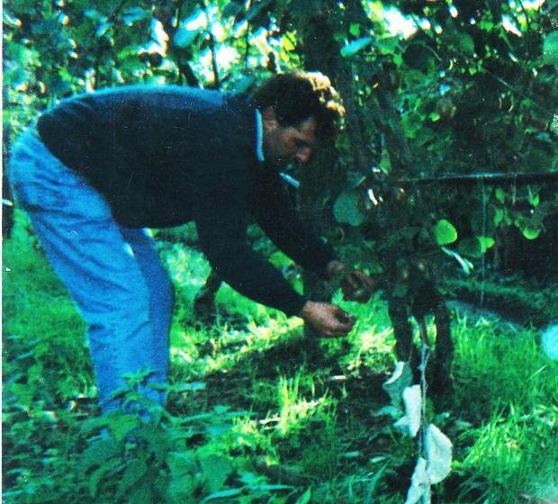 호텔 Agriturismo Podere Dei Kiwi