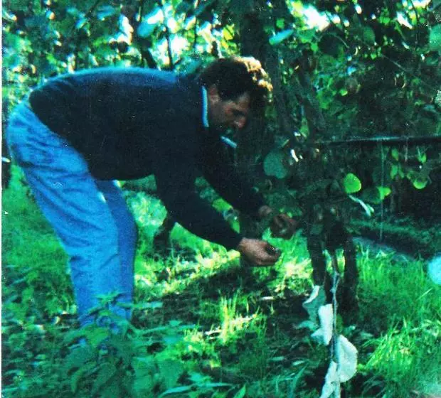 ホテル Agriturismo Podere Dei Kiwi