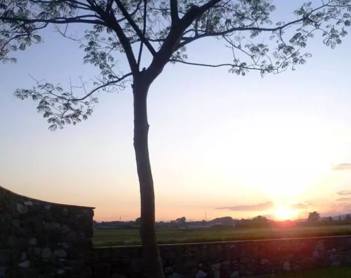 ホテル Agriturismo Podere Dei Kiwi