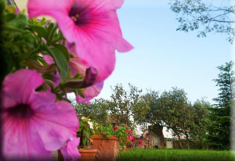 호텔 Agriturismo Podere Dei Kiwi