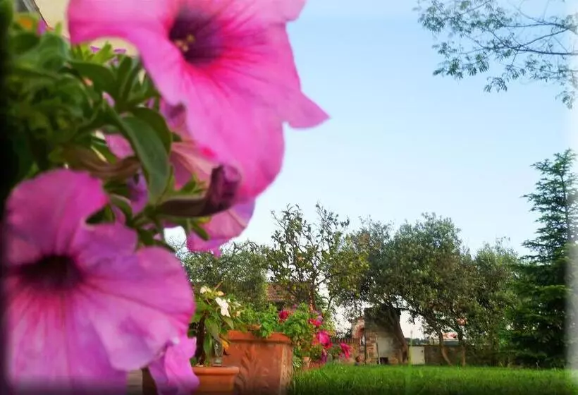 ホテル Agriturismo Podere Dei Kiwi