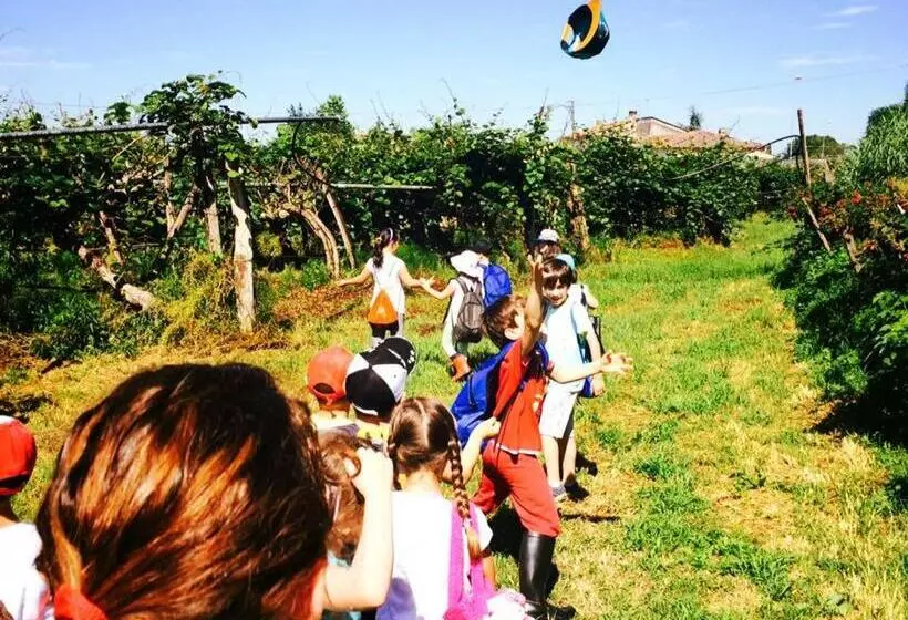 ホテル Agriturismo Podere Dei Kiwi