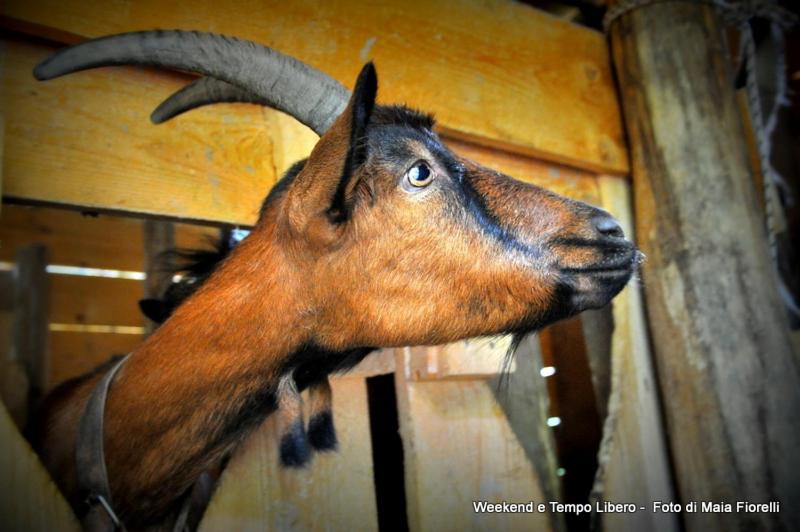 Отель Agriturismo Slowcanda